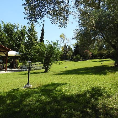 Konstantinos's luxury residence Sani Sani  Exterior foto